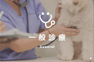 一般診療
