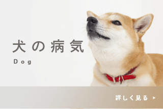 犬の病気