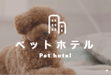 ペットホテル